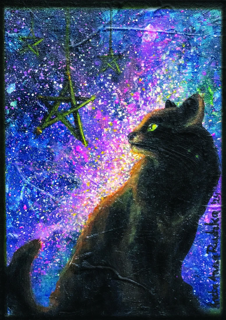 Widzę Cię Kot obraz Anette Arte