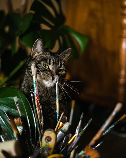 kotka protka maluje AnetteArte